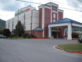Гостиница Mountain Inn & Suites  Эрвин
